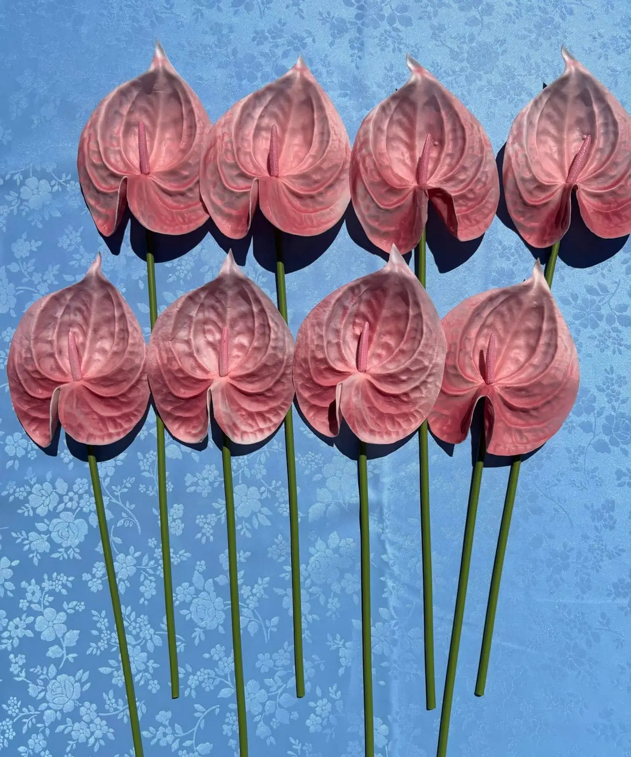 Eight blush pink artificial anthurium stems laid out on blue fabric
