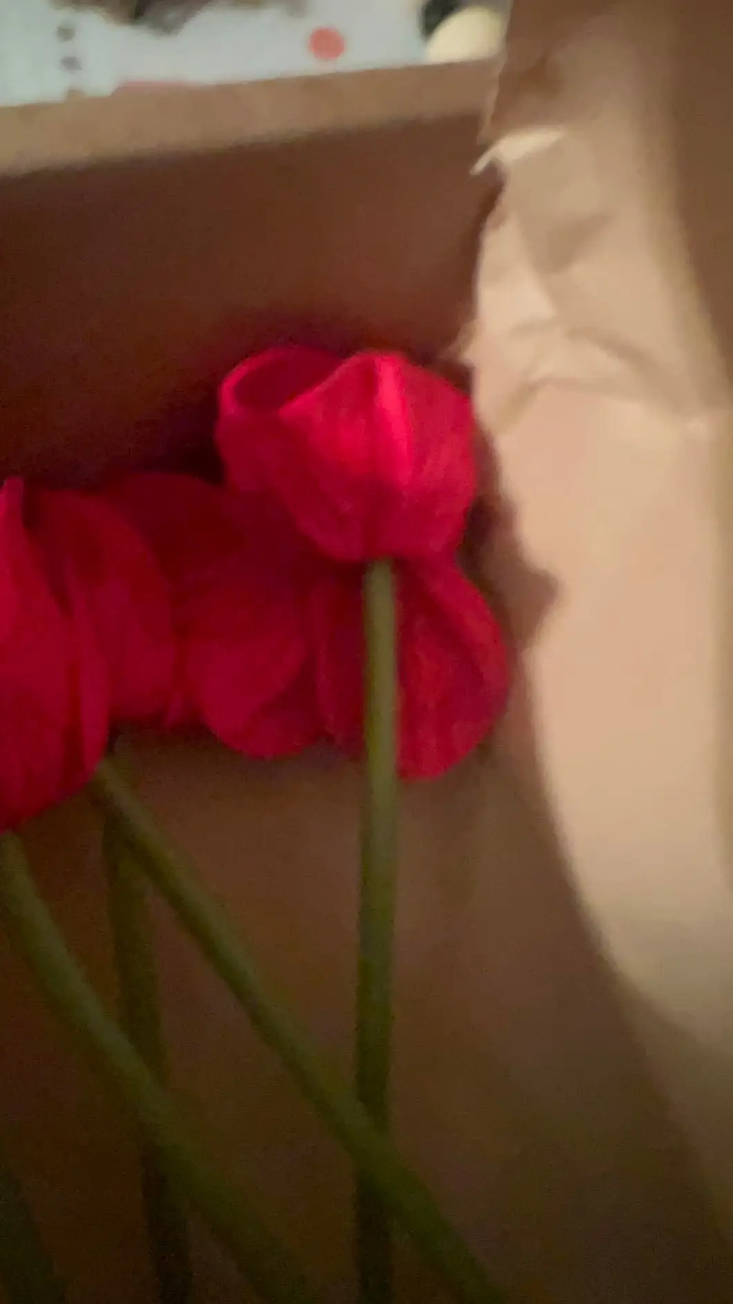 Red anemone poppies packed inside the shipping box