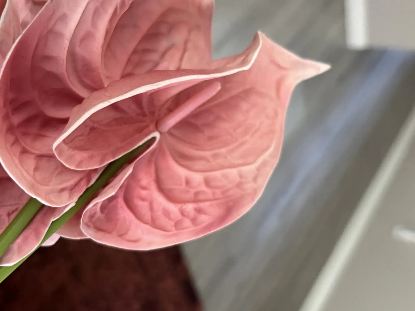 Close-up of a blush pink artificial anthurium spathe