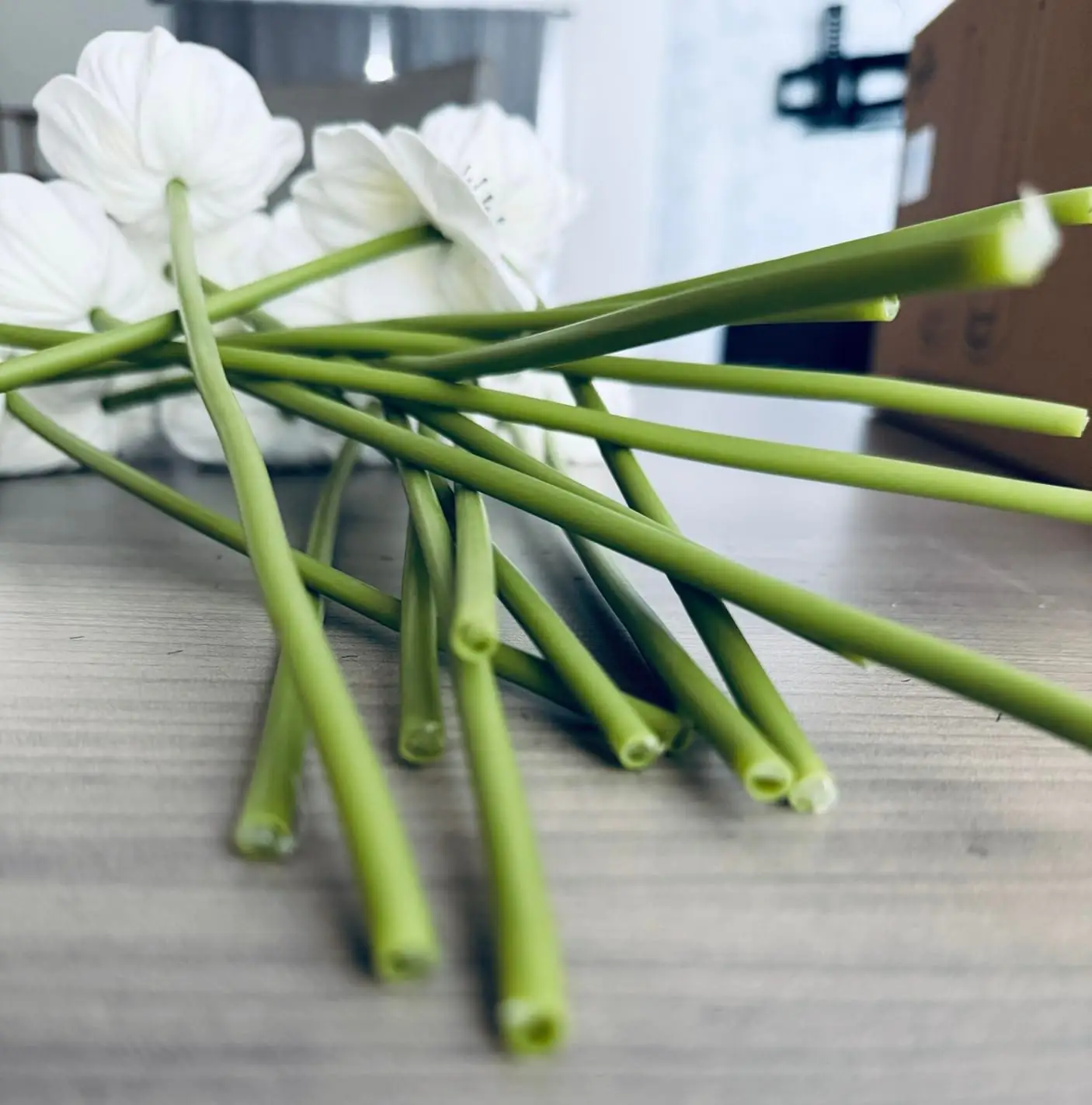 Close-up of the trimmed green stems with white poppies behind