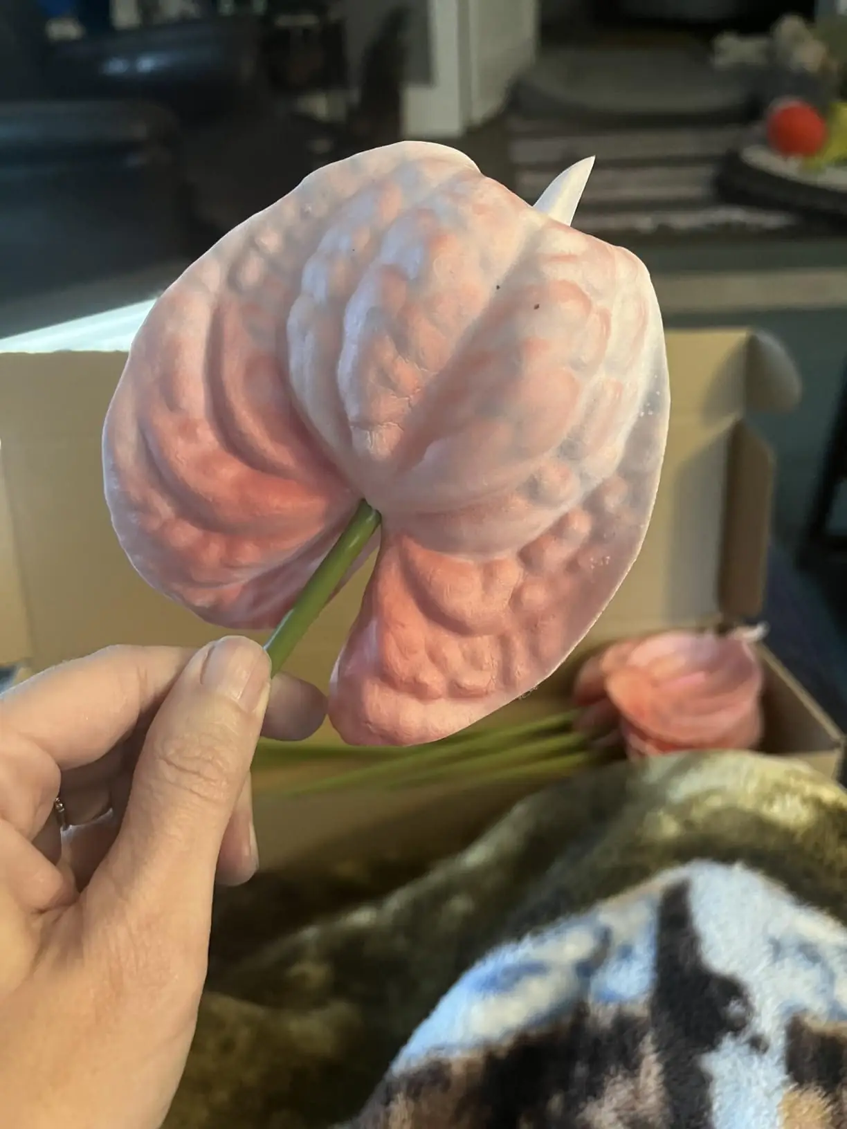 Hand holding a single blush pink artificial anthurium stem