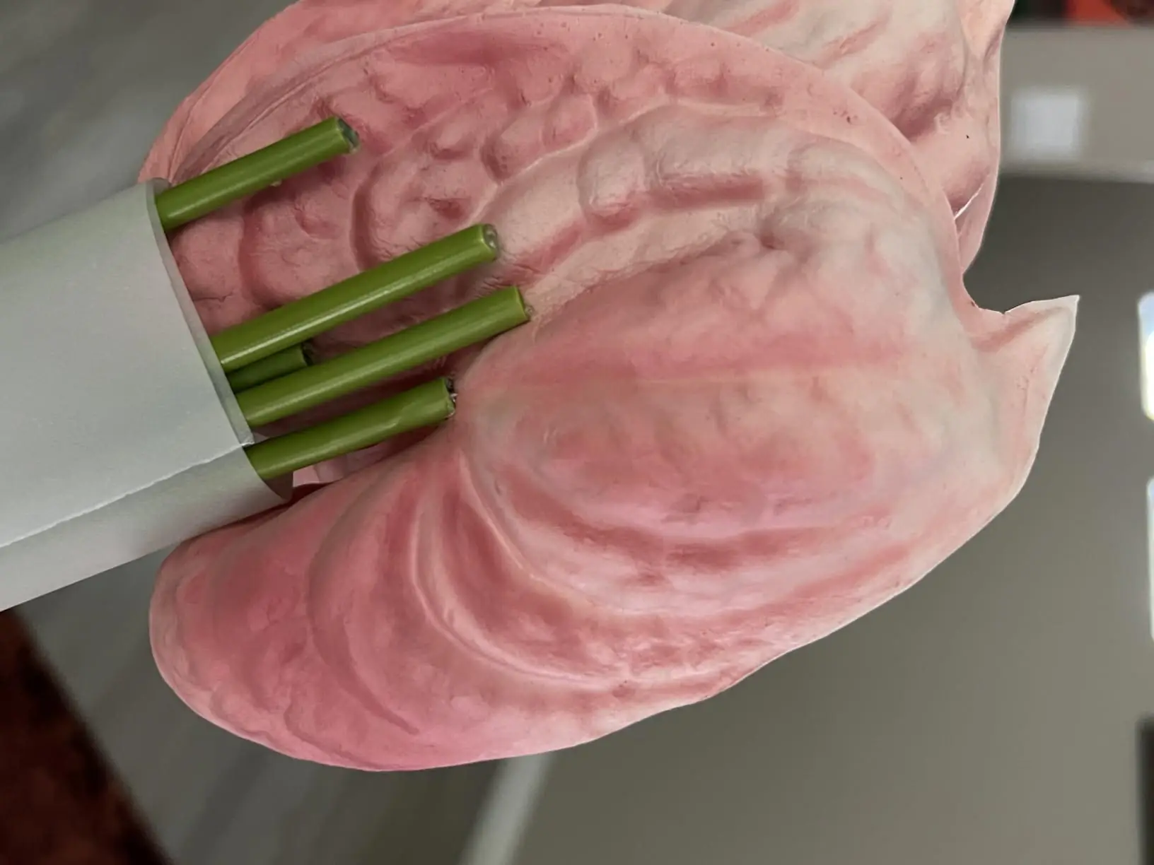 Blush pink artificial anthurium blooms with green stems in packaging