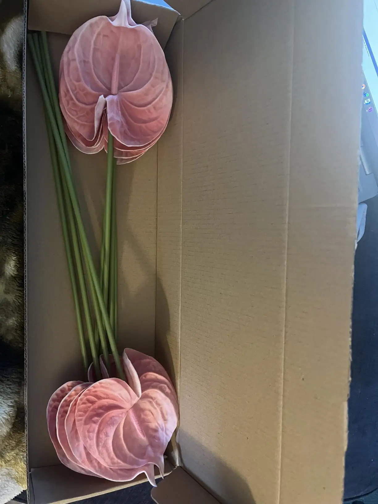 Two blush pink artificial anthurium stems inside the shipping box