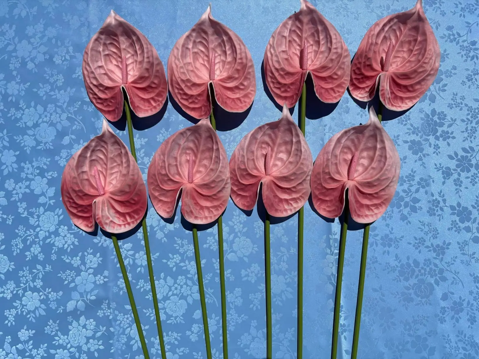 Eight blush pink artificial anthurium stems arranged on blue fabric