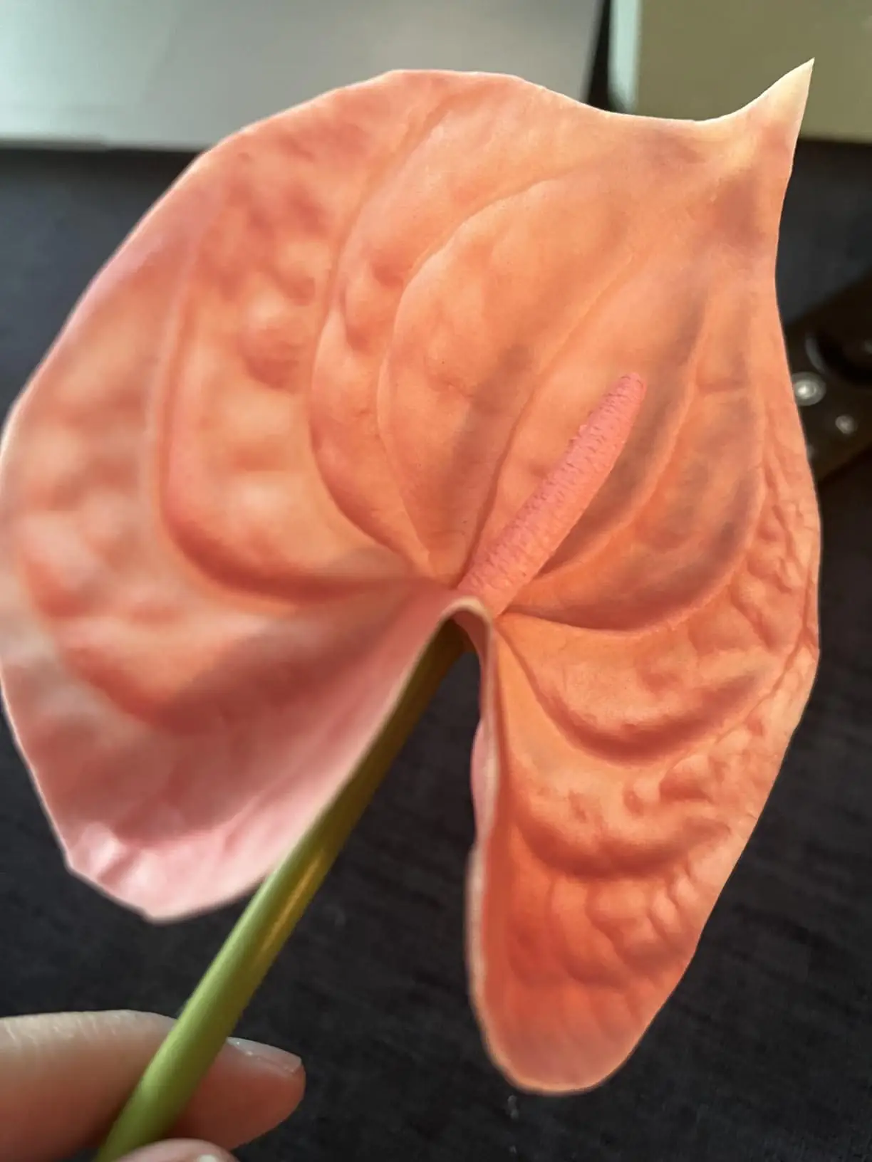 Close-up of a peach-blush artificial anthurium bloom
