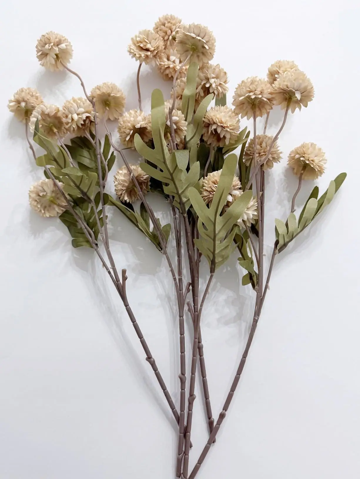 Beige pompon mum stems with green leaves laid flat